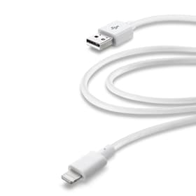 USB 2 m blanc Câbles de recharge Cellular Line 621526700000 Photo no. 1