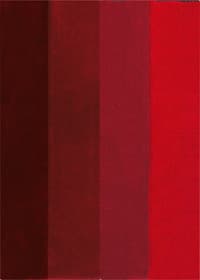 Tappetino da bagno Four spirella 675986800000 Colore Rosso Taglio 60x90cm N. figura 1