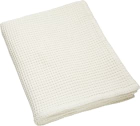 VALERIANO Couverture VALERIANO Couverture 451632843311 Dimensions L: 150.0 cm x H: 200.0 cm Couleur Blanc Photo no. 1