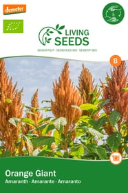 Living Seeds Amaranth, orange Giant Blumensamen Amaranth, orange Giant Blumensamen Living Seeds 650251100000 Bild Nr. 1