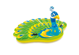 Peacock Island
