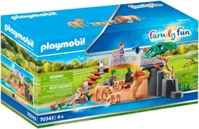 PLAYMOBIL® 70343 Recinto dei leoni 70343 Recinto dei leoni PLAYMOBIL® 748030200000 N. figura 1