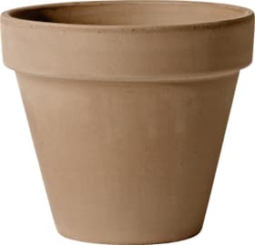 Pot en argile