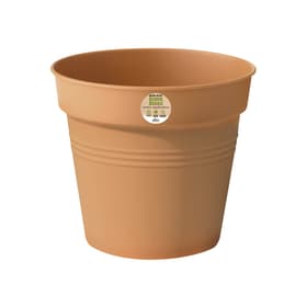 Green basic growpot Pot à fleurs 659626100000 Couleur Terracotta Taille ø: 24.0 cm x H: 22.0 cm Photo no. 1