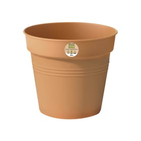 Green Basics Growpot