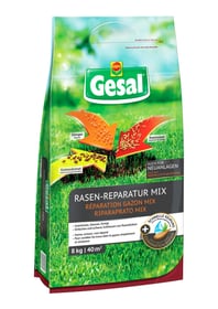 Compo Gesal Réparation gazons MIX, 8 kg Semences de gazon Réparation gazons MIX, 8 kg Semences de gazon Compo Gesal 658240600000 Photo no. 1