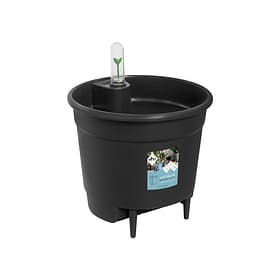 Elho Elho self-watering Système d’irrigation Elho self-watering Système d’irrigation Elho 657785900000 Couleur Noir Taille ø: 16.8 cm x H: 15.8 cm Photo no. 1