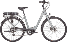 Comfort-Wave E-Bike 25km/h Crosswave 464867005081 Farbe Hellgrau Rahmengrösse 50 Bild-Nr. 1