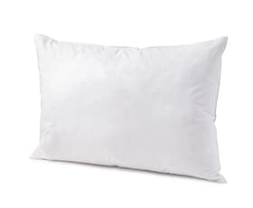 MEZZO medium Cuscino piatto con piumette MEZZO medium Cuscino piatto con piumette 451746210610 Colore Bianco Dimensioni L: 65.0 cm x P: 65.0 cm N. figura 1
