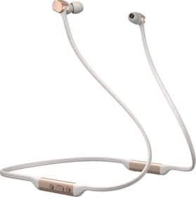 Bowers & Wilkins PI3 - Gold Casque In-Ear PI3 - Gold Casque In-Ear Bowers & Wilkins 772795800000 Photo no. 1