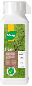 SanoPlant Olio invernale