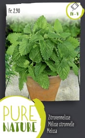 Do it + Garden Melissa, perenne 1g Sementi di erbe Melissa, perenne 1g Sementi di erbe Do it + Garden 287122100000 N. figura 1
