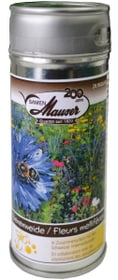 Samen Mauser Boîte pâturage d'abeilles 50 g Semences de fleurs Boîte pâturage d'abeilles 50 g Semences de fleurs Samen Mauser 650249200000 Photo no. 1