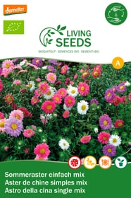 Living Seeds Sommeraster, Mischung Blumensamen Sommeraster, Mischung Blumensamen Living Seeds 650251400000 Bild Nr. 1