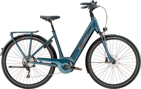 Diamant Zagora+ E-Trekkingbike Zagora+ E-Trekkingbike Diamant 46481250454718 Bild Nr. 1
