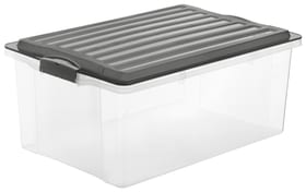 Compact Aufbewahrungsbox 38l mit Deckel, Kunststoff (PP) BPA-frei, anthrazit/transparent, A3 Aufbewahrungsbox Rotho 603356800000 Bild Nr. 1