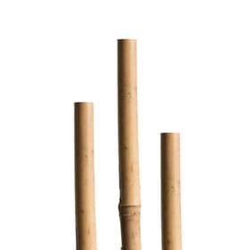Tuteurs bambous Tige pour plantes Miogarden 631504200000