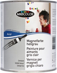 Miocolor Vernice per magneti Vernice per magneti Miocolor 660563200000 Colore Grigio chiaro Contenuto 1.0 l N. figura 1