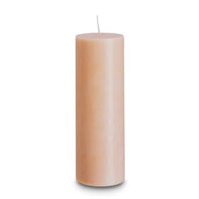 GREEN Candela GREEN Candela 396035600000 Dimensioni L: 7.0 cm x P: 7.0 cm x A: 20.0 cm Colore Rosa antico N. figura 1