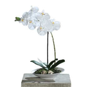 Orchidée dans un bol Fleur artificielle 657354300001 Couleur Crème Taille H: 32.0 Photo no. 1