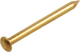 Do it + Garden Chiodo di ottone a testa semitonda nichelato Chiodo di ottone a testa semitonda nichelato Do it + Garden 604304900000 N. figura 1