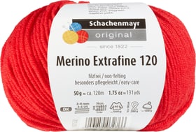 Schachenmayr Wolle Merino Extrafine 120 Wolle Merino Extrafine 120 Schachenmayr 665510300060 Farbe Rot Bild Nr. 1