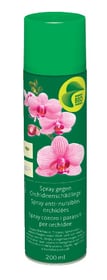 Migros Bio Garden Spray anti-nuisibles pour orchidées, 200 ml Insecticide Spray anti-nuisibles pour orchidées, 200 ml Insecticide Migros Bio Garden 658414800000 Photo no. 1