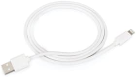 USB-A to Lightning cable 1m - white Kabel Griffin 785300167166 Bild Nr. 1