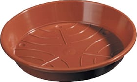 Sottovaso universale in plastica Sottovaso Sottovaso universale in plastica Sottovaso 659446000000 Colore Marrone Taglio ø: 21.0 cm N. figura 1