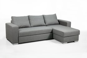 BURKARD Canapé-lit d'angle BURKARD Canapé-lit d'angle 402934051001 Dimensions L: 248.0 cm x P: 153.0 cm x H: 90.0 cm Couleur Argenté Photo no. 1