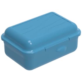 FUN Boîte à goûter 0,4 l, plastique (PP) sans BPA, bleu Boîte à goûter Rotho 674360900000 Photo no. 1