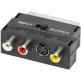 Vivanco Adaptateur S-VHS Mini-DIN / Péritel Adaptateur Scart Adaptateur S-VHS Mini-DIN / Péritel Adaptateur Scart Vivanco 770819500000 Photo no. 1
