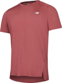New Balance Accelerate SS Shirt de course à pied Accelerate SS Shirt de course à pied New Balance 467714500388 Taille S Couleur bordeaux Photo no. 1