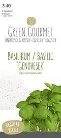 Do it + Garden Basilic 'Genoveser' 5 graine plaque Semences de gourmet Basilic 'Genoveser' 5 graine plaque Semences de gourmet Do it + Garden 287102300000 Photo no. 1