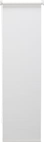 EXCELLENCE HIVE Store enrouleur EXCELLENCE HIVE Store enrouleur 430748104210 Couleur Blanc Dimensions L: 43.0 cm x H: 185.0 cm Photo no. 1
