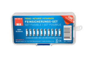 Max Hauri Set fusible 5m20mm Retardé Set fusible 5m20mm Retardé Max Hauri 612533000000 Photo no. 1