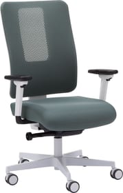 ANDERSON II Chaise de bureau ANDERSON II Chaise de bureau 401510300000 Photo no. 1