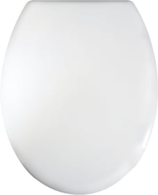 Siège de WC Vesuvo