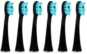 Shine Bright Extra Clean Noir, 6 pièces tête de brosse à dents Ailoria 785300162810 Photo no. 1
