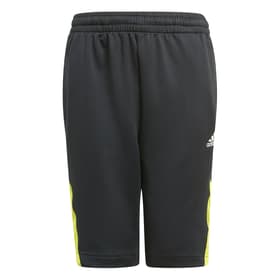 Adidas Predator Aeroready Football Short Short de football pour enfant Predator Aeroready Football Short Short de football pour enfant Adidas 466835512820 Taille 128 Couleur noir Photo no. 1