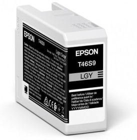 Epson Tintenpatrone T46S900 light gray Tintenpatrone Tintenpatrone T46S900 light gray Tintenpatrone Epson 785300153433 Bild Nr. 1
