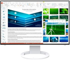 EIZO EV2485 24,1" Swiss Edition Monitor EV2485 24,1" Swiss Edition Monitor EIZO 785300165991 Bild Nr. 1