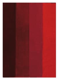 Badeteppich Four spirella 675256600000 Farbe Rot Grösse 55 x 65 cm Bild Nr. 1