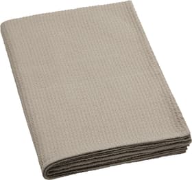 ELIANIA Decke ELIANIA Decke 451668143374 Farbe Beige Grösse B: 150.0 cm x H: 200.0 cm Bild Nr. 1