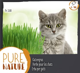 Herbe pour les chats 200g Pure Nature Herbe a chats Do it + Garden 287122300000 Photo no. 1