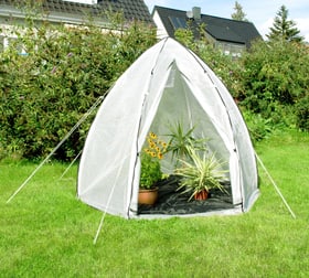 Tenda Piante Hawaii L Tenda Piante Hawaii L 631369700000 N. figura 1