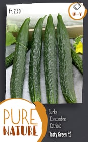 Concombre 'Tasty Green' F1 0.5g Semences de legumes Do it + Garden 287116400000 Photo no. 1