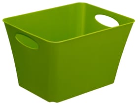 Contenitore in plastica 24 litri verde 631377000000 Taglio Litri 24.0 l x L: 43.1 cm x B: 32.1 cm x H: 26.0 cm Colore Verde N. figura 1