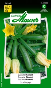 Samen Mauser Courgette Diamant Semences de legumes Courgette Diamant Semences de legumes Samen Mauser 650116601000 Contenu 2.5 g (env. 10 plantes ou 7-10 m Photo no. 1