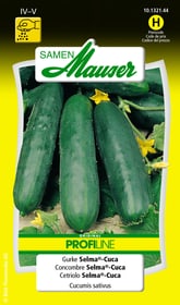 Concombre Selma®-Cuca Semences de legumes Samen Mauser 650110604000 Contenu 20 graines (ens. 10 - 15 plantes ou 3 - 4 m²) Photo no. 1